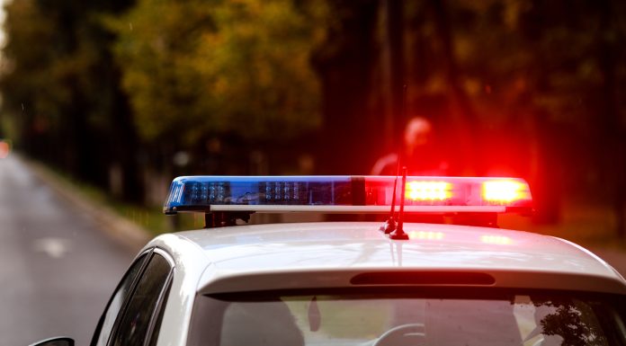 Urmărire ca în filme la Suceava: un șofer a ignorat focurile de avertisment ale polițiștilor și a fugit într-un lan de porumb