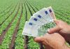 Agenţia pentru Finanţarea Investiţiilor Rurale anunţă că a efectuat plăţi de 219 milioane de euro în luna octombrie către fermieri şi procesatori