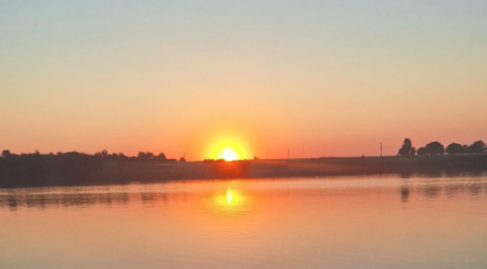 DECIZIE Parcurile fotovoltaice nu vor putea fi construite pe amenajări piscicole de stat