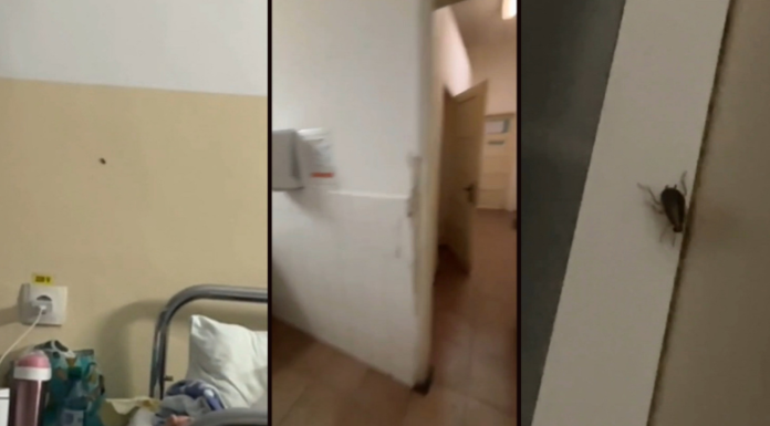 Imagini de groază la Spitalul din Slatina, filmate de pacienți: saloane pline de gândaci și toalete insalubre. DSP face verificări