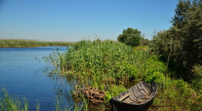 DECIZIE Condiții noi privind vânzarea de către stat a amenajărilor piscicole. Dacă nu sunt respectate, amenajările piscicole se întorc la stat