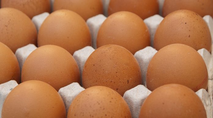 Guvernul Poloniei, mesaj către populație în problema ouălor: Nu intrați în panică!