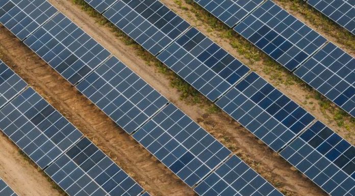 Simtel lansează cel mai mare parc fotovoltaic din România realizat prin reconversie ecologică