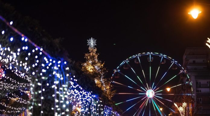 Iaşi: 26 de brazi mari, dar şi alţi 850 în ghivece, vor fi montaţi în oraş cu ocazia sărbătorilor de iarnă. Iluminatul festiv va fi aprins în 1 decembrie în faţa Primăriei