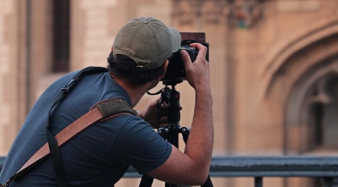 Cum obții macro reușit: echipament, focus stacking și lumină controlată