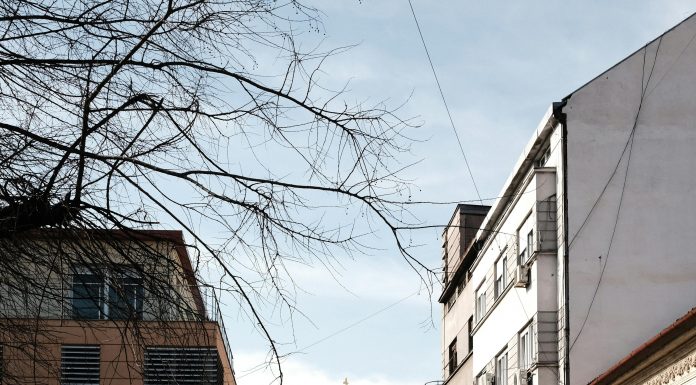 Oraşul sârb Novi Sad va demara o licitaţie pentru construirea unei centrale termice solare de 110 milioane de euro