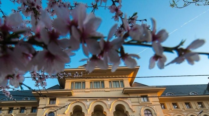 Trei candidaturi pentru Primăria Capitalei au fost respinse de Biroul Electoral Municipal