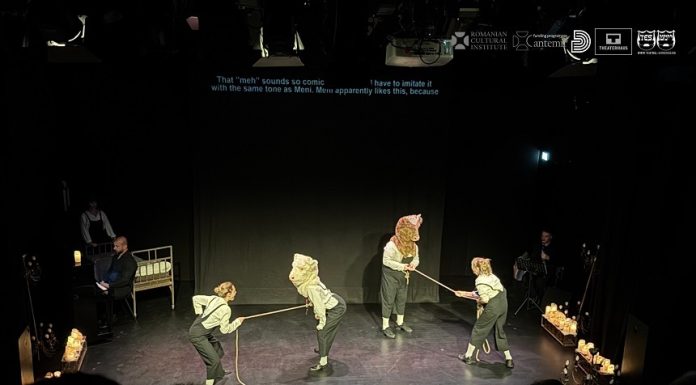 Programul Cantemir – 20 de proiecte remarcabile au fost organizate anul acesta pe patru continente cu sprijinul ICR