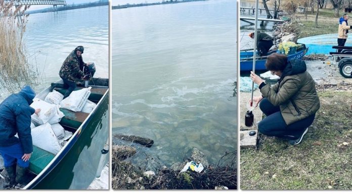 Poluare pe Dunăre, în dreptul localităţii Moldova Nouă din judeţul Caraş-Severin