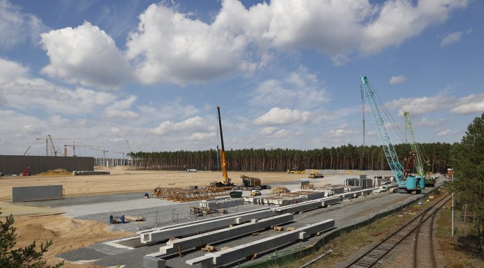 O mare companie închide operațiunile agricole din România. Aproape 800 de hectare și firma, scoase la vânzare