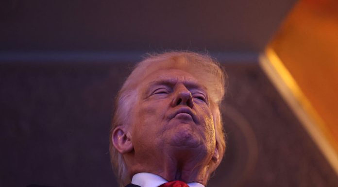 Donald Trump, furios după Grammy 2026: îl numește pe Trevor Noah „un ratat total” și vorbește despre acțiuni în instanță