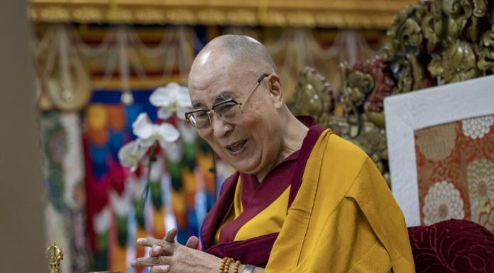 Dalai Lama a fost premiat cu un Grammy pentru cartea sa audio