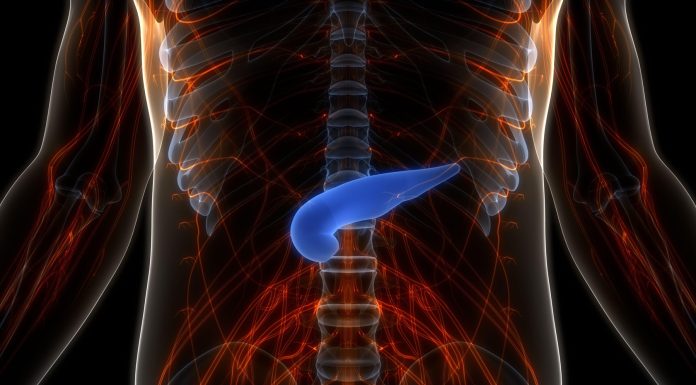 Pancreasul artificial a fost dezvoltat în Israel. Cum funcționează „implantul viu”, care ar elimina injecțiile zilnice cu insulină