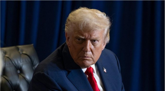 Trump declanșează exodul academic din SUA. Austria oferă refugiu cercetătorilor: „Mă bucur că am evitat un glonț”