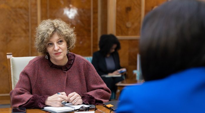 Gheorghiu: Să ieşim din paradigma că nu ne vindem ţara. Ne-o pierdem în fiecare zi, cu fiecare ban pe care companiile îl pierd