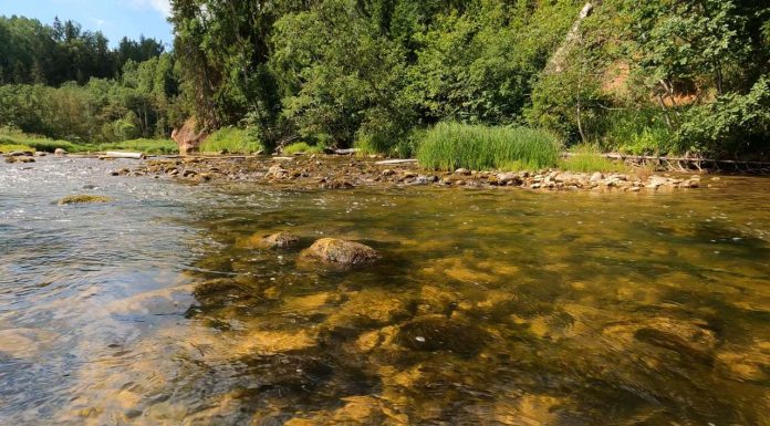 DGASC Sibiu face verificări la familia copiilor morţi într-un pârâu din Chirpăr, precizând că aceasta nu a fost în evidenţele instituţiei: În contextul decesului a patru copii în cadrul aceleiaşi familii, tratăm situaţia ca o posibilă situaţie de risc