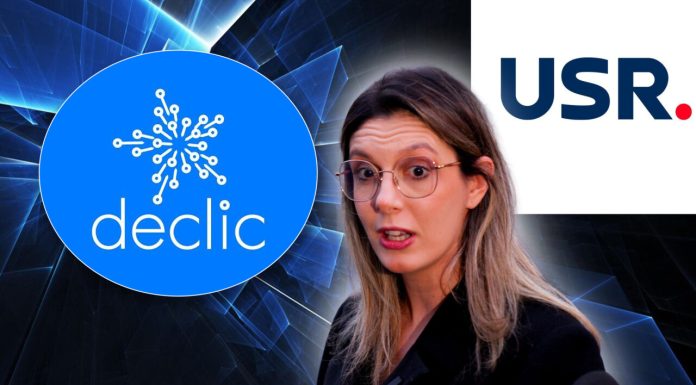 Declic, ONG apropiat USR, atac la Diana Buzoianu: “O ilegalitate fără precedent”