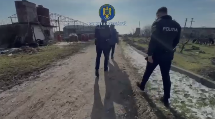 Prahova: Amenzi de 19.000 de lei pentru proprietarii unei ferme, după ce un control făcut de poliţiştii de la Protecţia Animalelor a arătat că animalele sunt ţinute în condiţii necorespunzătoare