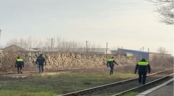 Cadavru dezmembrat de animale, găsit în Slobozia. Polițiștii fac verificări