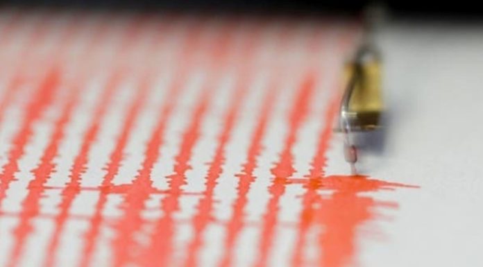 Cutremur slab produs în zona seismică Vrancea, Buzău, duminică, cu magnitudinea 3.7