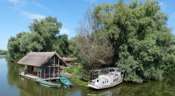 Delta Dunării pierde turiștii. Nici nu prea mai au ce să vadă