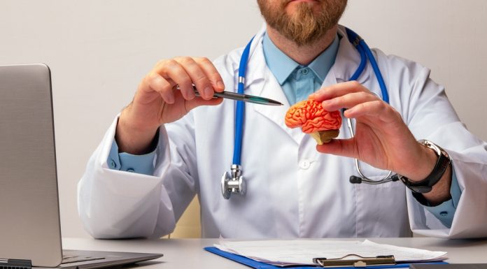 Studiu: Creierul și memoria, mai conectate decât credeam. Cercetătorii pun sub semnul întrebării teorii vechi