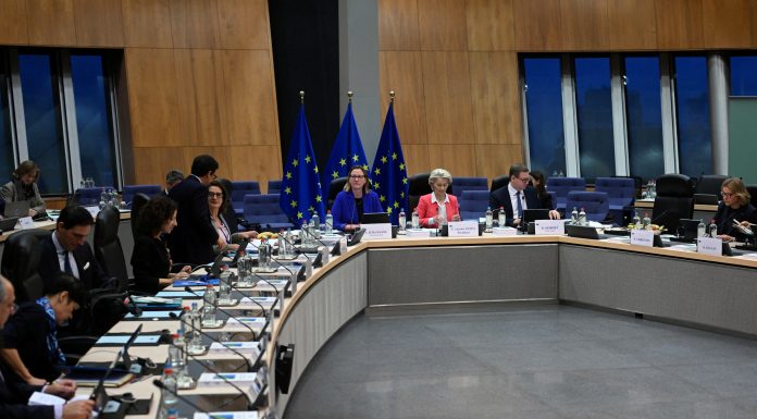 Acordul UE-Mercosur așteaptă decizia CJUE. Mai multe state îl consideră o amenințare