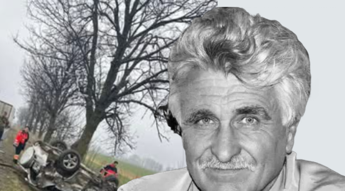 Noi detalii în cazul accidentului mortal de pe DN19, lângă Valea lui Mihai. Victima, un fost primar și deputat UDMR de Bihor