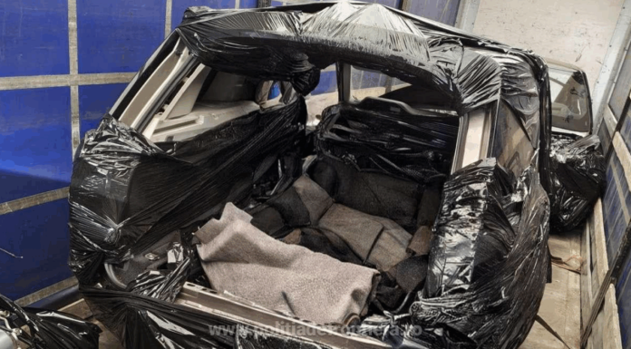 Captură în Portul Constanța. Mașini furate în Europa, introduse în România dezmembrate, ca piese de schimb