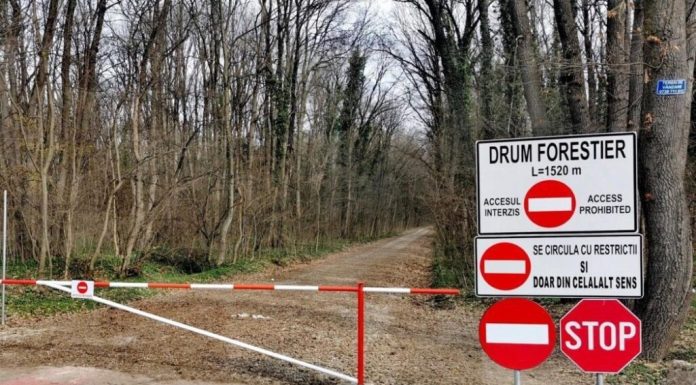 Corpul de Control a finalizat verificările privind drumul forestier din Pădurea Băneasa. Ce arată raportul