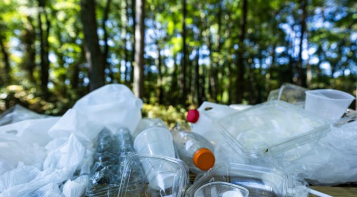 Plastic peste tot, boli peste tot: avertismentul cercetătorilor pentru următorii 15 ani