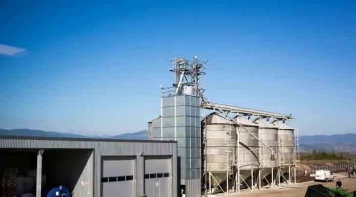 ULTIMA ORĂ Compania olandeză HempFlax iese din România