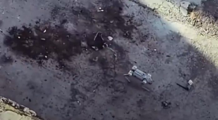 Poliția mexicană se dotează cu câini-roboți VIDEO