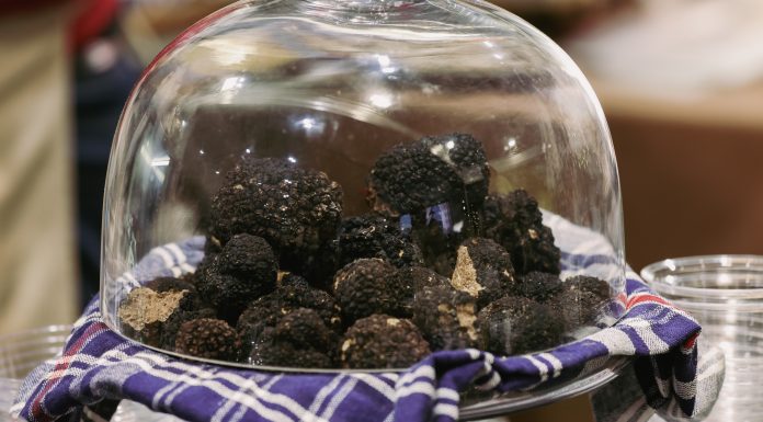 Locul desemnat capitala europeană a trufelor. A primit titlul de Oraș Gastronomic UNESCO. De ce merită vizitat