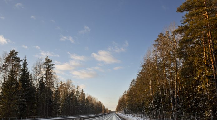 Iarna 2026, cea mai profitabilă afacere din istoria firmelor de curățenie și deszăpezire. Cifra de afaceri poate depăși pragul psihologic