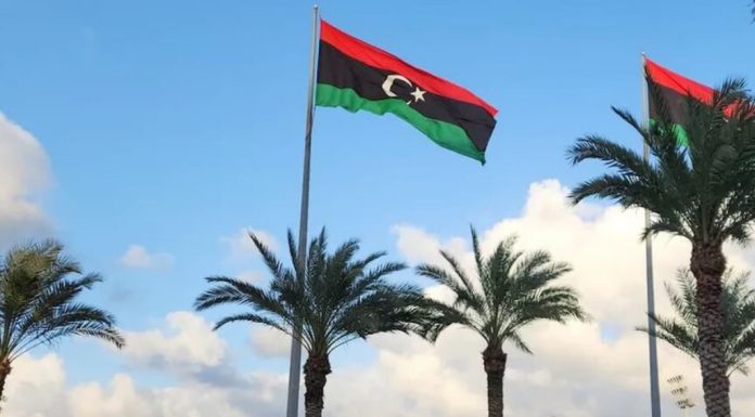 Cum ar fi încercat Jeffrey Epstein să profite de activele înghețate ale Libiei. MI6 și Mossad împlicate în discuții