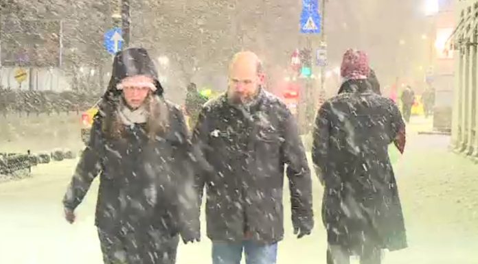 După o noapte de nins viscolit în București, dimineața a fost o aventură și pentru șoferi și pentru pietoni: „Era prăpăd”