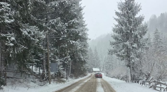 Centrul Infotrafic, în contextul atenţionării meteorologice din sudul Olteniei, Munteniei şi Dobrogei: Nu sunt instituite restricţii de circulaţie pe drumurile naţionale şi autostrăzi / Conducătorii auto să se informeze cu privire la starea drumului
