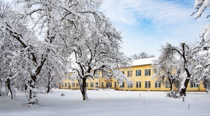 Școli închise și cursuri mutate online din cauza zăpezii în mai multe județe din țară