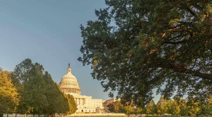 Democrații câștigă zeci de locuri în statele din SUA. Republicanii așteaptă banii de campanie pentru a întoarce trendul