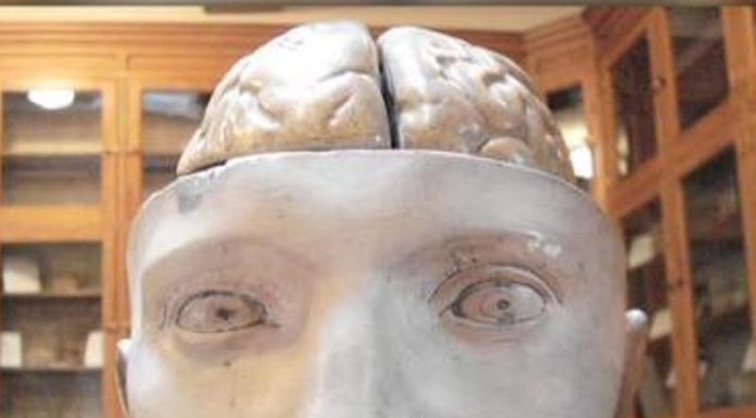 Medicamentul care încetinește îmbătrânirea creierului și ajută memoria: E nevoie de doar două doze