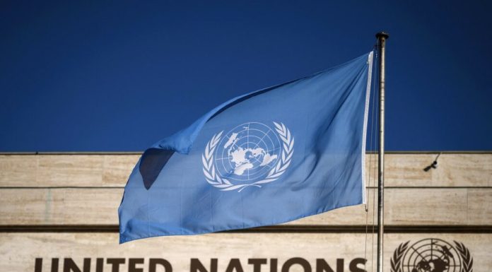 ONU trebuie să „se reformeze, să se transforme sau să dispară”, avertizează fostul președinte al Adunării Generale