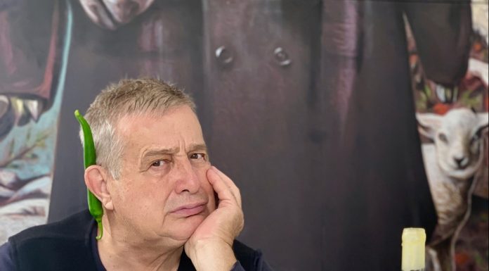 Persoane necunoscute au dat foc casei lui Mircea Dinescu. Locuința din Cetate a fost complet distrusă