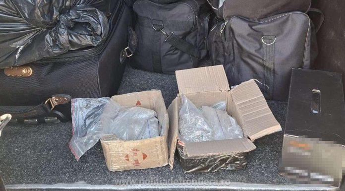 Captură de 155.000 de lei în Satu Mare. Ce au descoperit polițiștii într-un microbuz care voia să ajungă în Cehia. FOTO