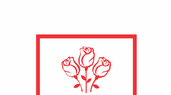 PSD: În ultimele zile, câteva voci importante din PNL vorbesc despre necesitatea unui dialog politic post-Bolojan între partidele alianţei. Îi încurajăm pe toţi liberalii care gândesc la fel, dar nu au avut curajul să se exprime, să o facă