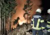 Incendiu devastator în sudul Austriei. Flăcările au mistuit o suprafață cât 150 de terenuri de fotbal