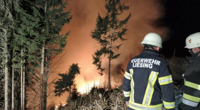 Incendiu devastator în sudul Austriei. Flăcările au mistuit o suprafață cât 150 de terenuri de fotbal