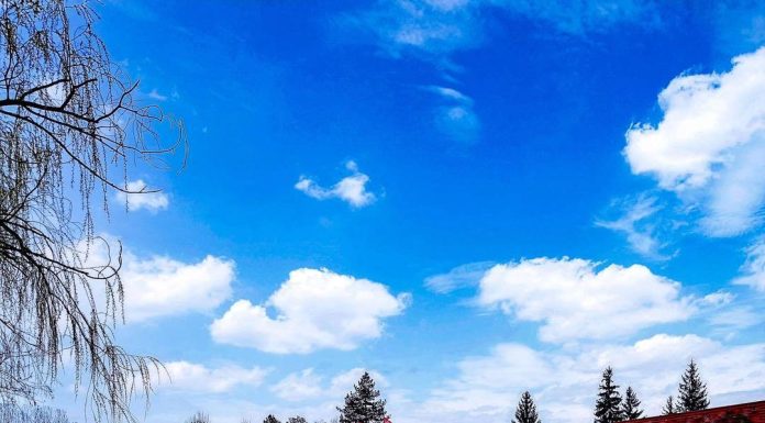 Femeie găsită de poliţişti în stare gravă, într-un spaţiu comercial din Haţeg / Există suspiciunea că ar fi fost violată / Un bărbat de 62 de ani, recalcitrant la sosirea echipajelor de Poliţie, dus la audieri / Anchetă pentru a se stabili ce s-a întâmpla