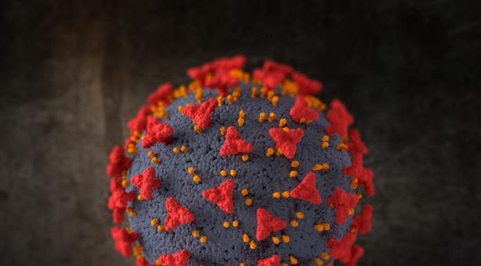 Cinci luni de filmări într-o peșteră au scos la iveală cât de aproape sunt oamenii de virusul Marburg