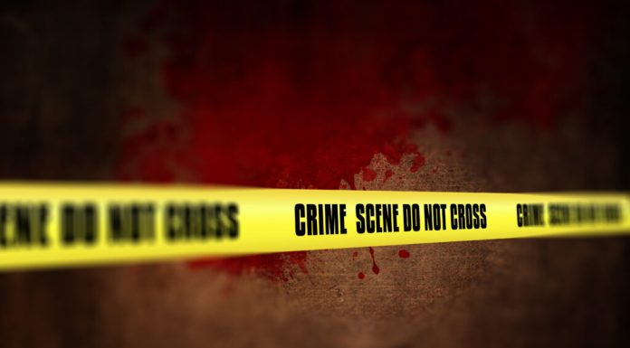 Un bărbat din Japonia este suspectat că și-a ucis soția și i-a ars trupul în incineratorul grădinii zoologice